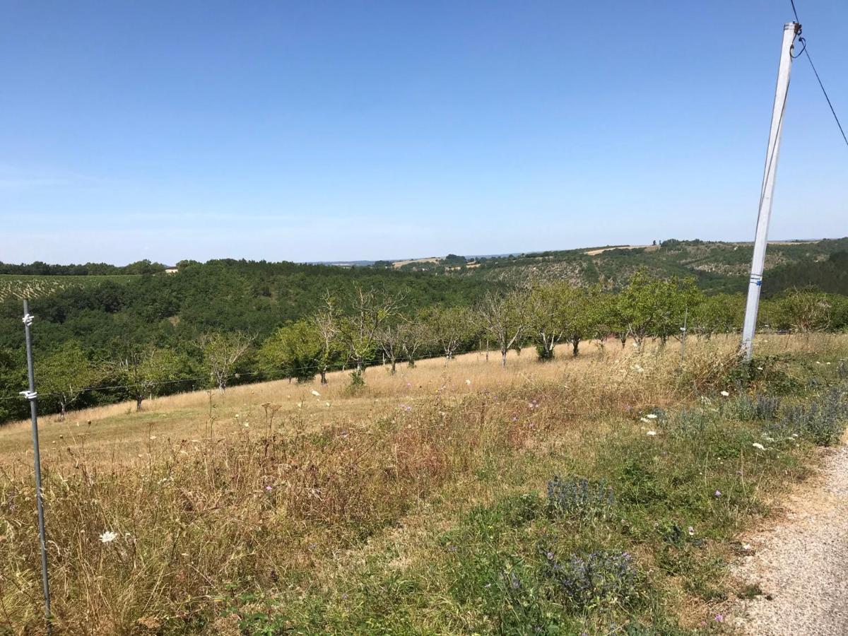 Natuur En Stilte In Een Bijzondere Omgeving Thezac  Luaran gambar